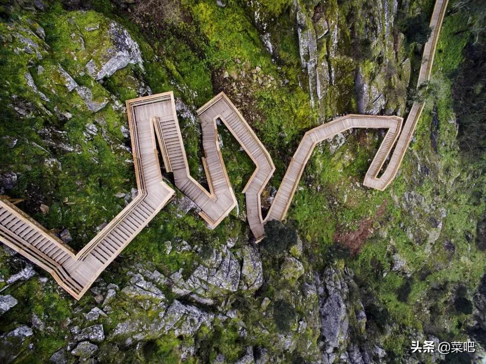 菜吧农庄创意设计,菜吧生态园规划