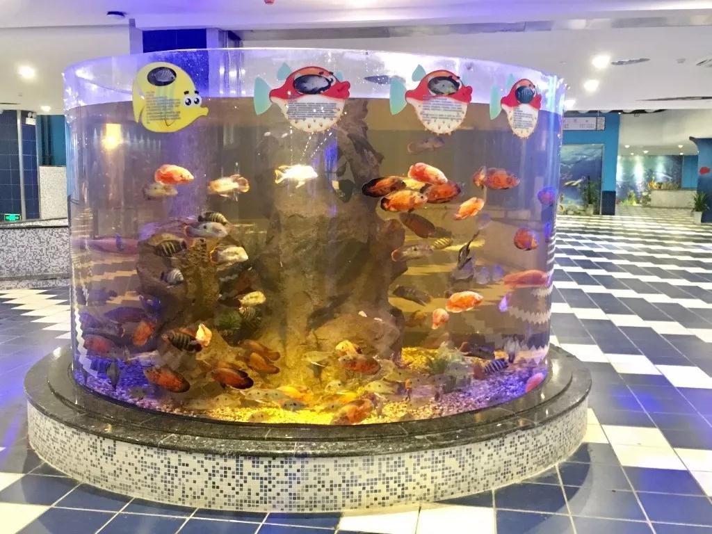 五一黄金周长沙旅游攻略,长沙洋沙湖自驾游攻略