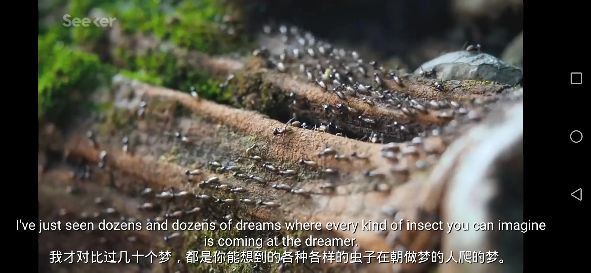 疫情期间你有做过奇奇怪怪的梦吗？