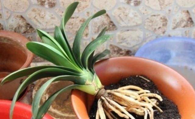 家家有的废旧物品,家家都能做的废物利用小制品