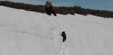 被囚34年取精，被迫亲手杀死爱子，最后只能挣扎着死去…