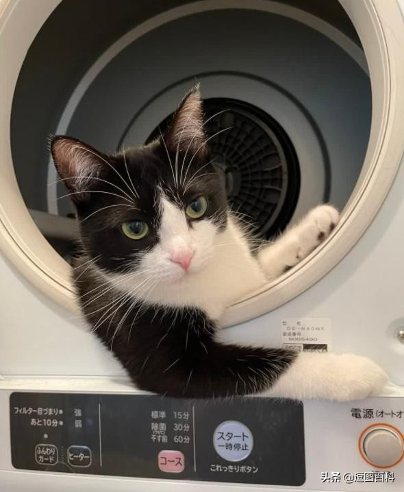 高铁可以在前一个站坐车么,高铁坐过站出得去吗