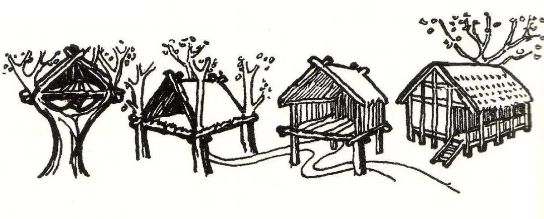 字起源的传说,南字的起源和传说