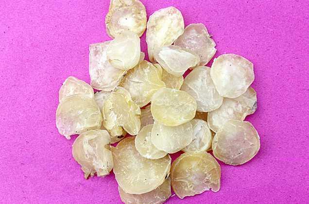 生附子古今用法,附子古今用量变化浅析