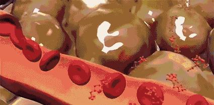 明星瘦腿方法让腿变又细又直,娱乐圈腿精女星