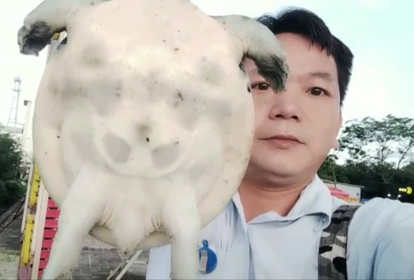 甲鱼针钓甲鱼的技巧,钓甲鱼线组搭配和技巧