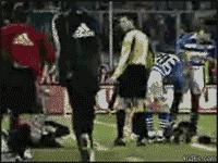 今日趣图完整版,今日趣图高清图