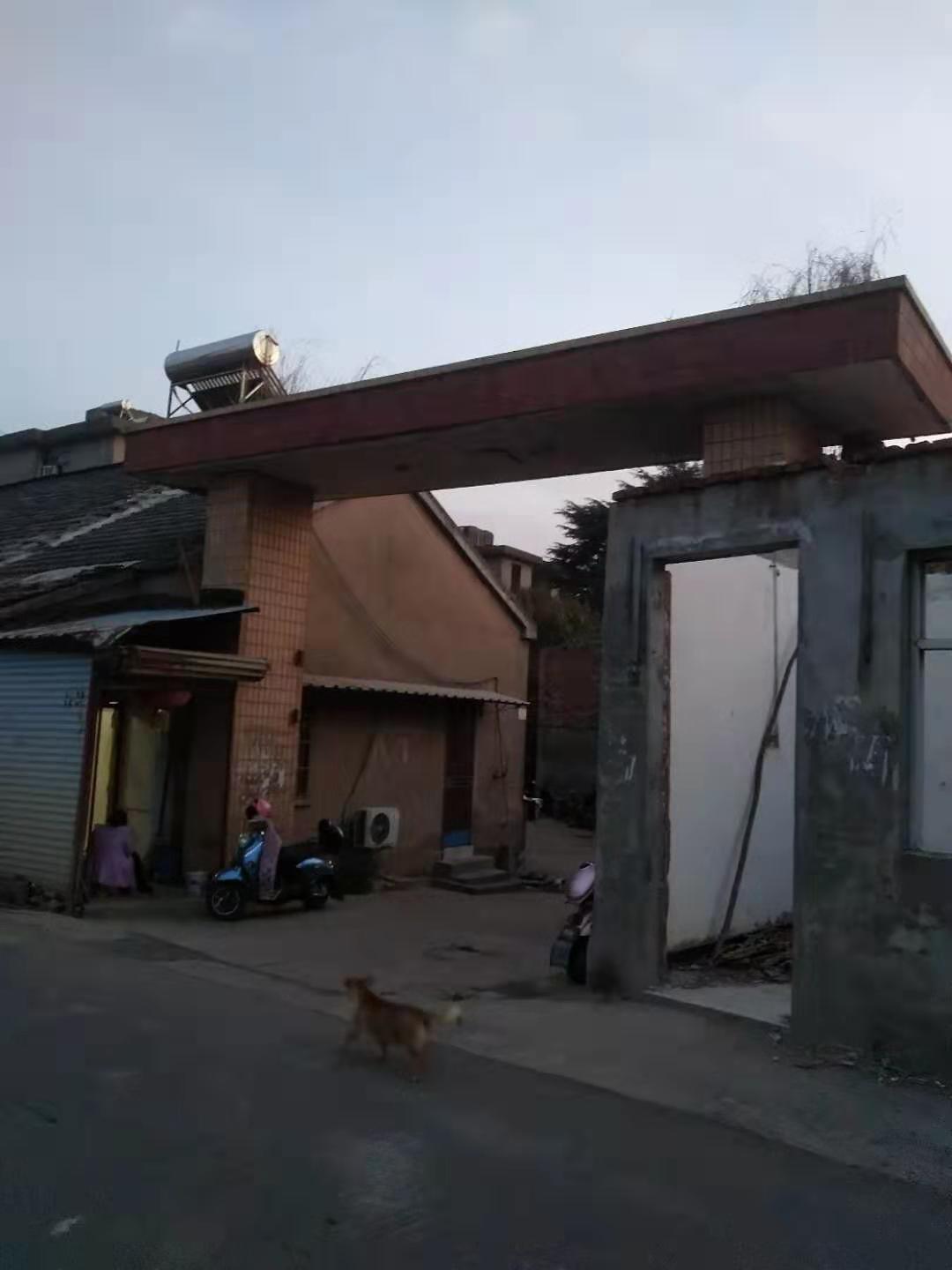 物是人非事事休,物是人非事事休是什么歌