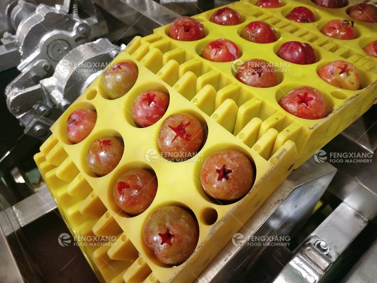 水果摘果机,水果去核机械全自动