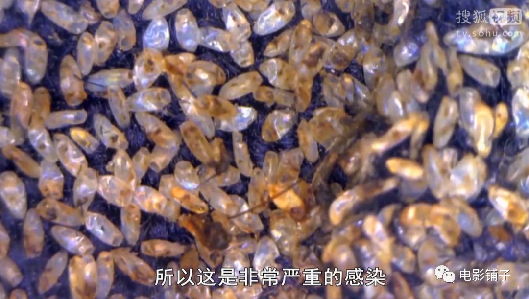 主持人用生命拍片系列，大写的牛掰