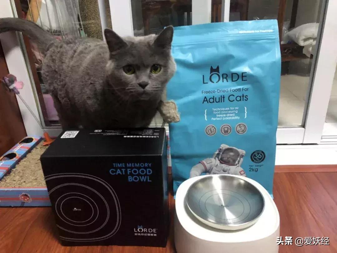 lorde全价猫粮,lorde猫粮值不值得购买