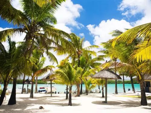 毛里求斯小知识,关于毛里求斯的信息