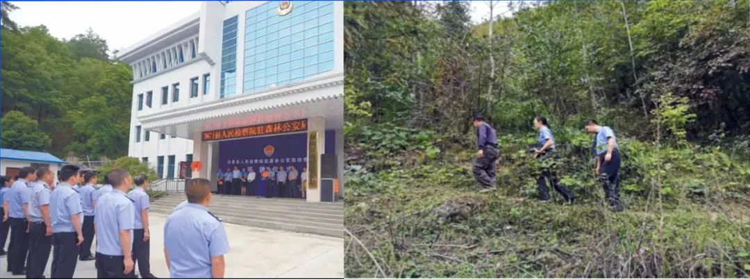 *会两**|保康县检察院*党**组书记、代检察长何妍在县第十九届人民代表大会第一次会议上作检察工作报告