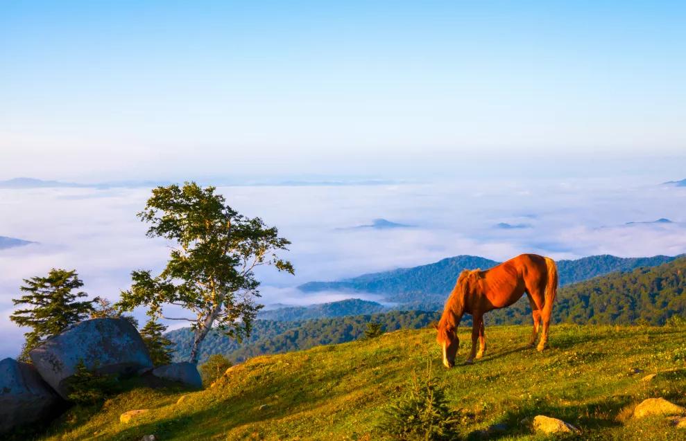 五一旅游如何去长白山,白山市4天旅游攻略
