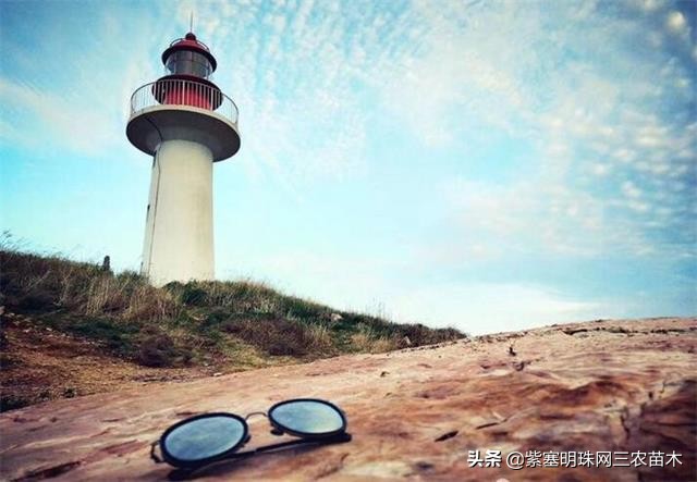 长岛值得去的渔家乐,长岛美丽的海岛