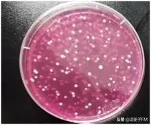 面膜菌落超标不合格的原因,面膜菌落超标