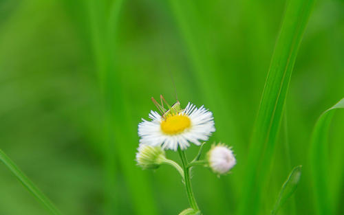 美工入门教程零基础,淘宝美工零基础入门完全自学教程