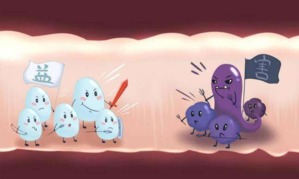 国外益生菌哪些品牌比较好？给宝宝选哪款益生菌产品好？