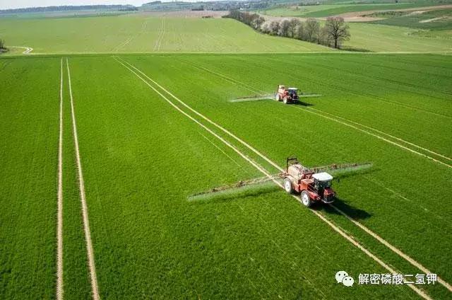 叶面肥磷酸二氢钾如何使用 (叶面肥磷酸二氢钾使用方法用量)