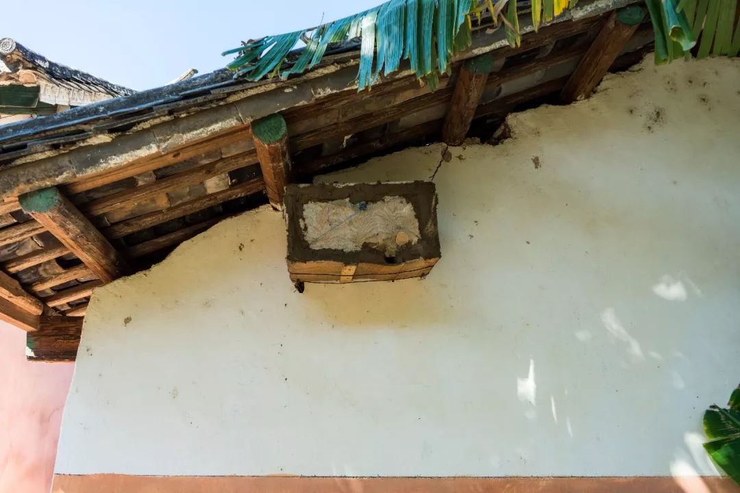 土蜂蜜的取蜜全过程,土蜂蜜取蜜全过程记录