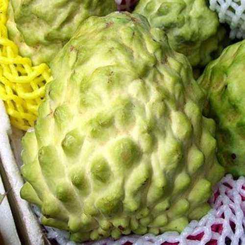 番荔枝成熟水果,酷似番荔枝的水果