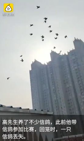 14岁少女被骗去ktv警方现场解救,14岁女孩在ktv被骗