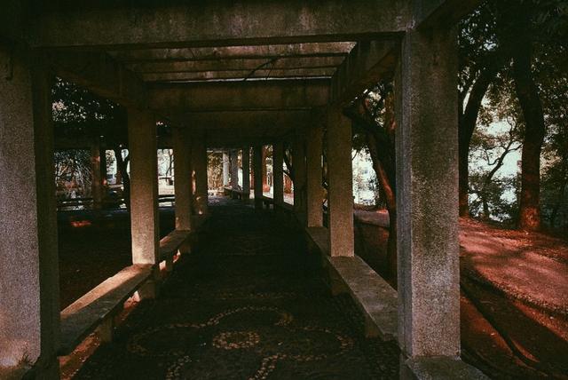 苹果手机的修图软件,如何使用手机修图软件泼辣修图