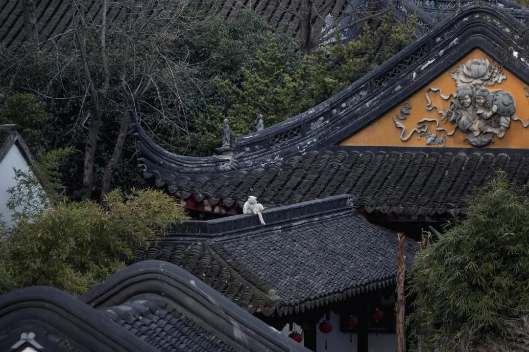 关于长安地名诗句,古代长安城古风诗句有哪些