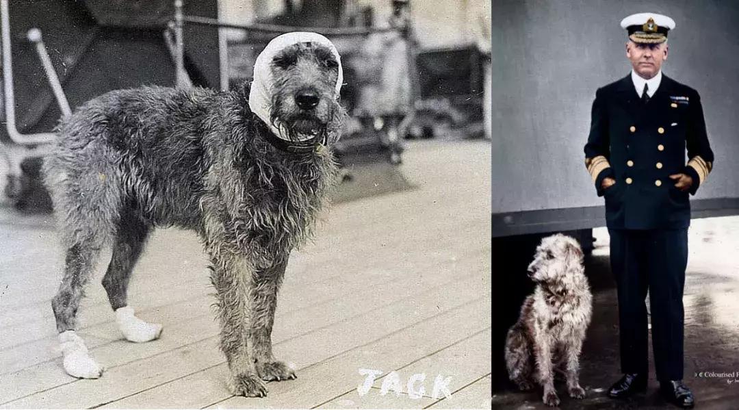 战列舰三国志-“厌战”号（2）浴血日德兰