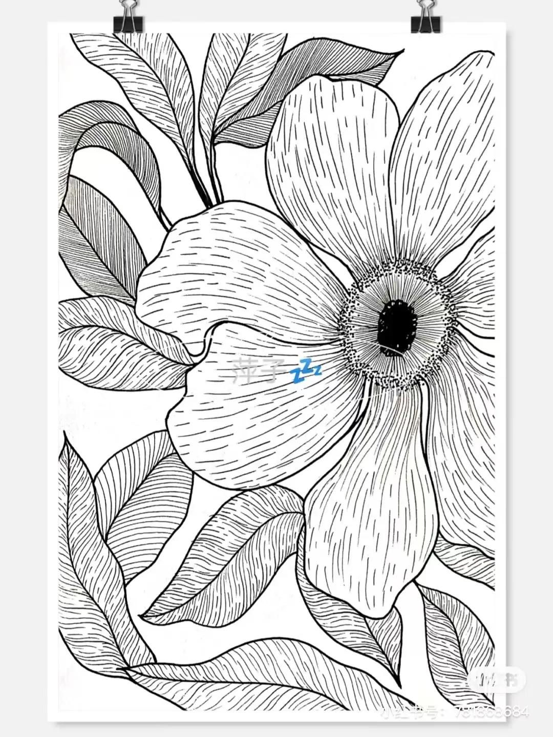 花卉简单线描创意画,花草线描画装饰