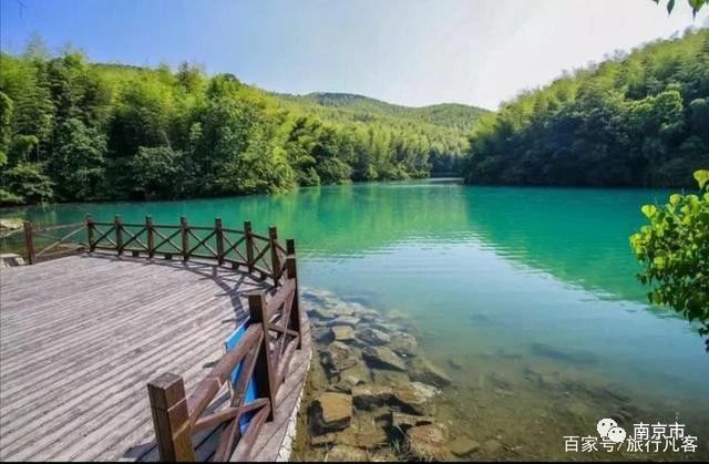 南京江宁石塘竹海景区图片,南京石塘竹海景区