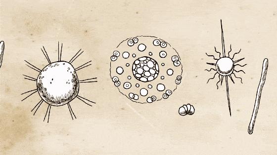裤底有黄色分泌物,裤上有股腥臭味是怎么了