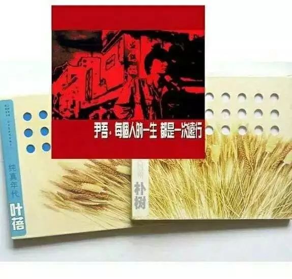 尹吾朴树叶蓓红白蓝,伊吾与朴树的关系