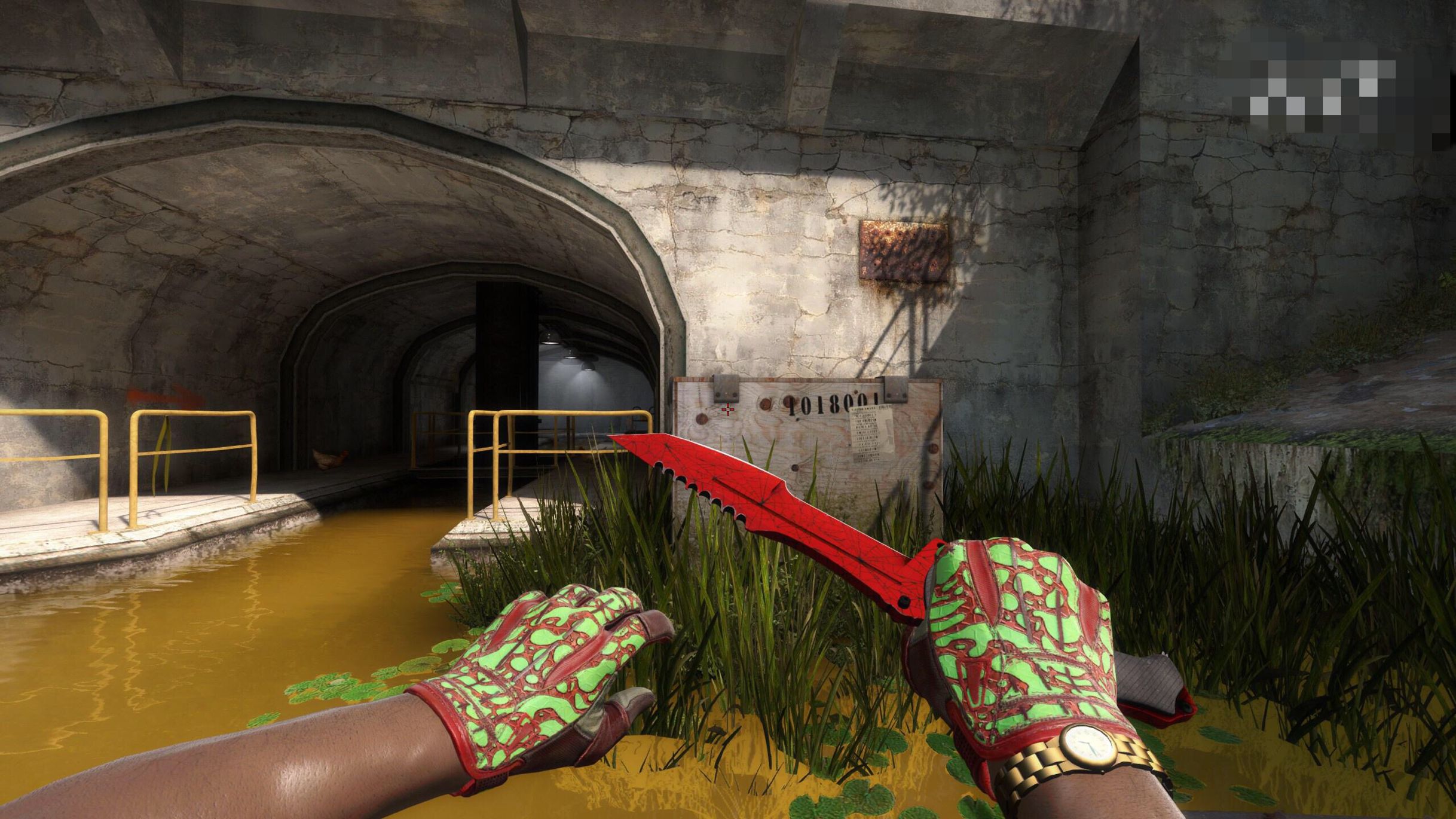 csgo穿肠刀皮肤推荐,csgo个人经历