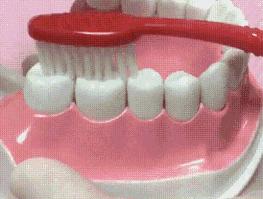 美白牙齿5个小窍门亮白牙齿,牙齿发黄不用愁教你一招美白牙齿