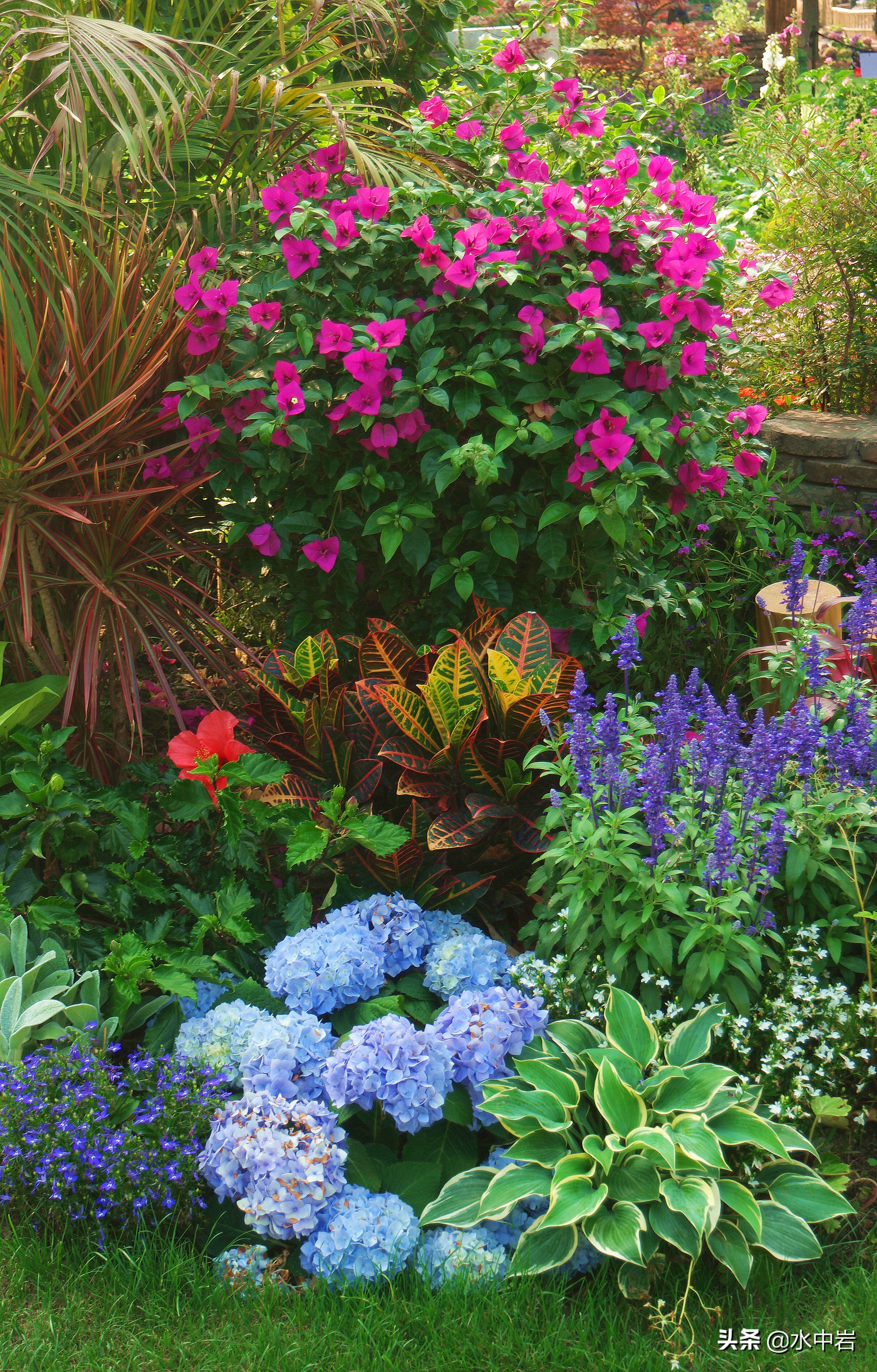 长江流域发生了几次大型洪涝灾害,江苏历史上遭遇的洪水