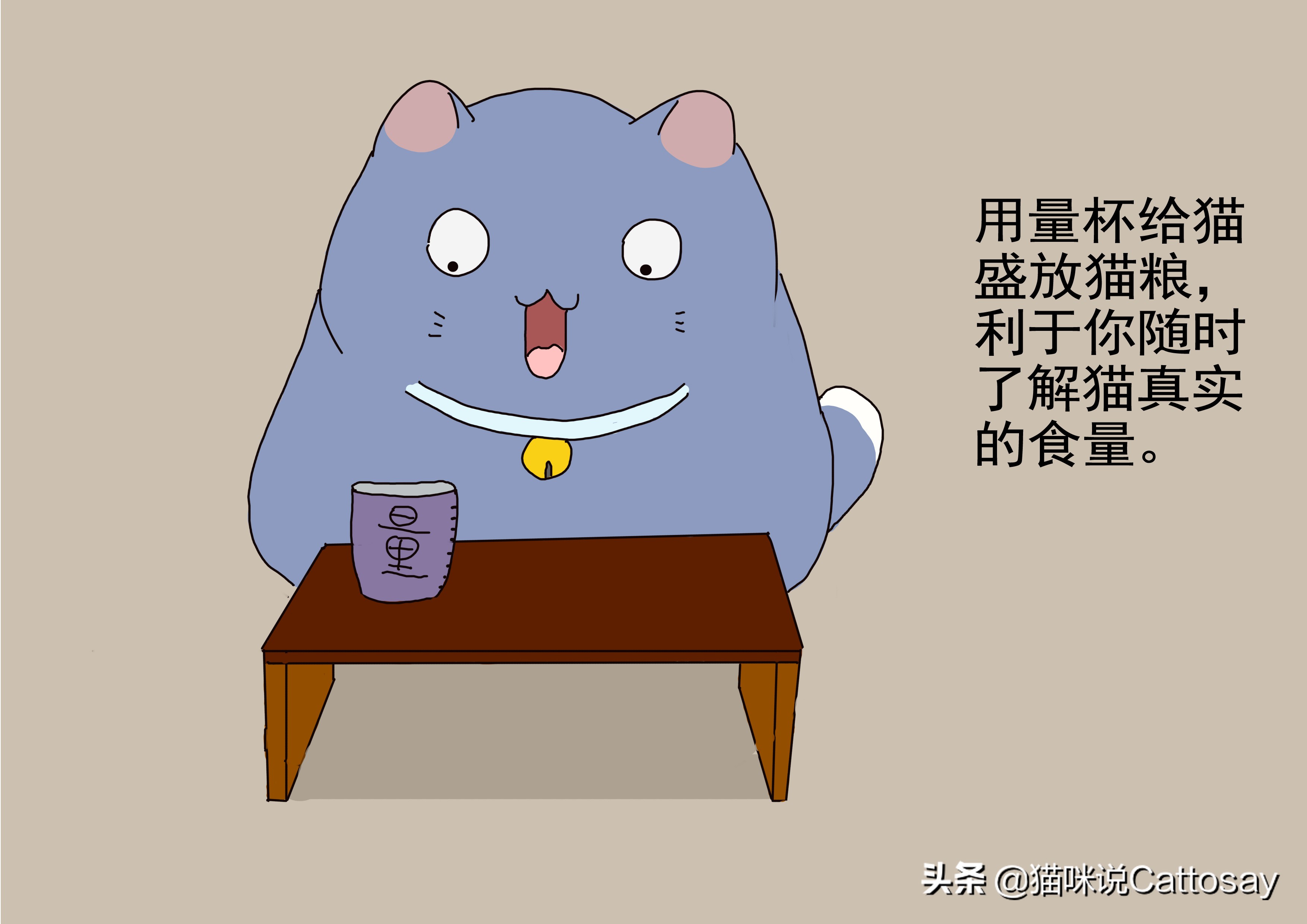 帮助小胖猫减肥的三个步骤,胖猫减肥最有效的方法