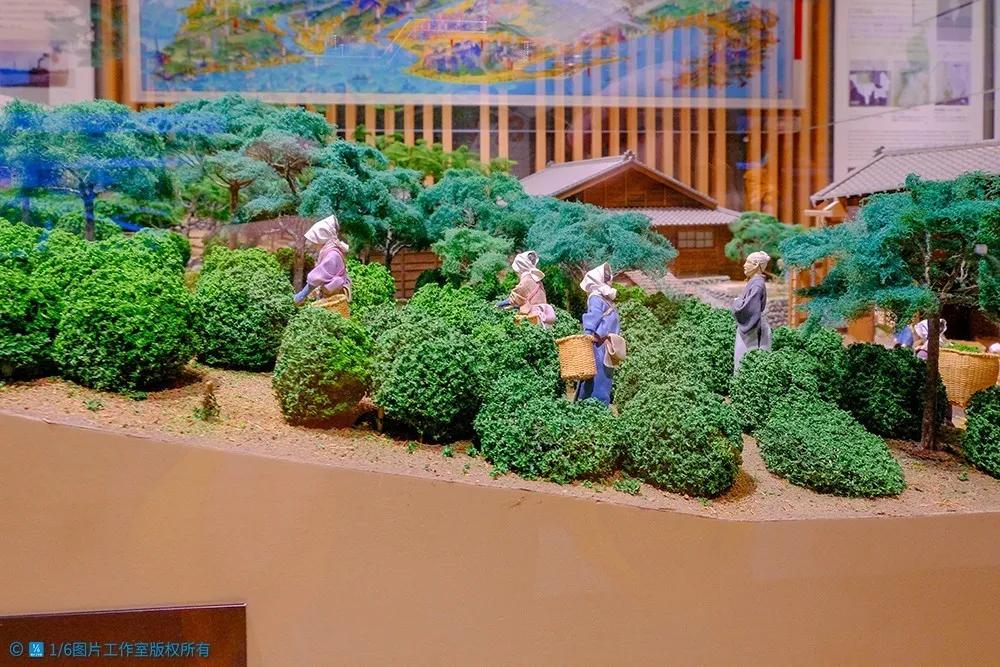 日本茶文化旅游,日本茶之都博物馆