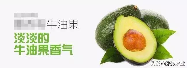牛油果的健康骗局,牛油果是个骗局么