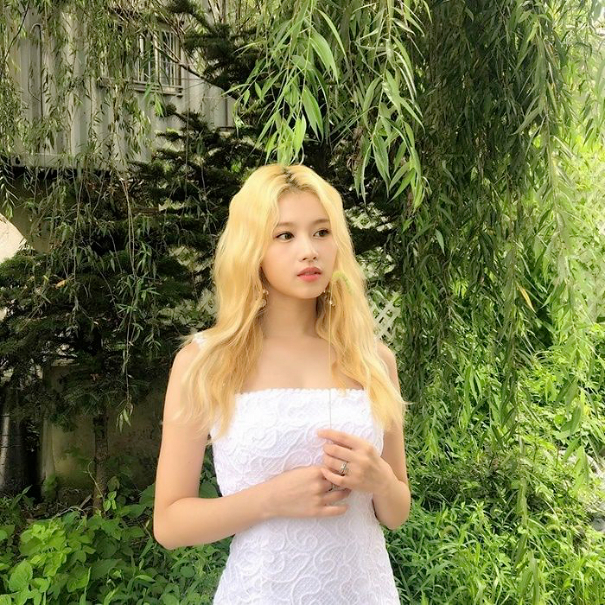 凑崎纱夏sana高颜值混剪,凑崎纱夏sana转身