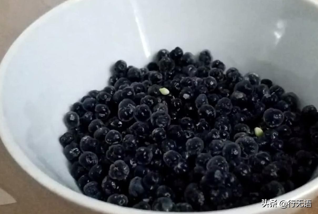 有趣的农村生活食物,农村生活农村娃农村美食