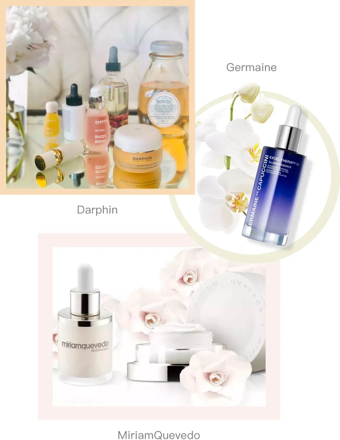 离婚东山再起,破产离婚东山再起复婚后续