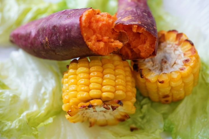 测评十大实用家用电器,家用好物小电器测评