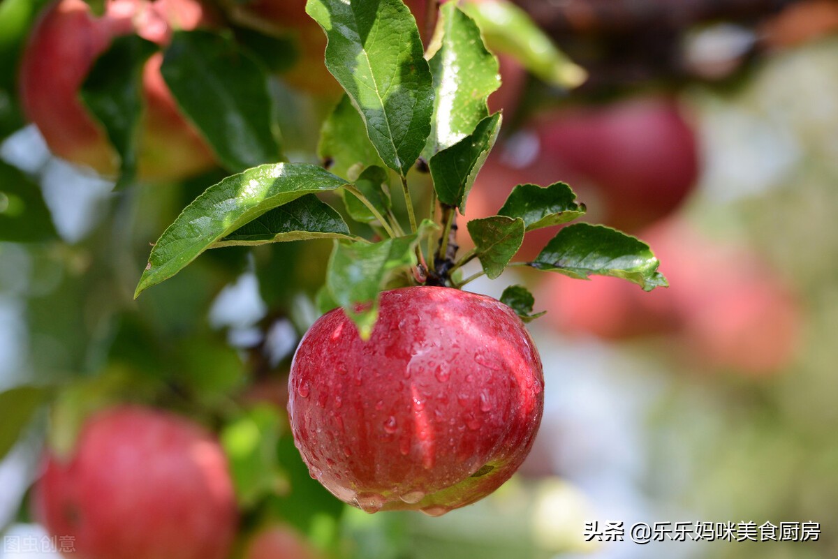 入秋必吃的水果,入秋后这5种时令水果放开了吃