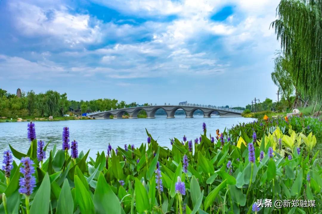 新郑经济百强县排名,河南百强县第一新郑