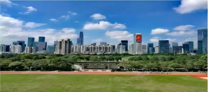 娣卞湷绂忕敯涓2020,绂忕敯涓2020