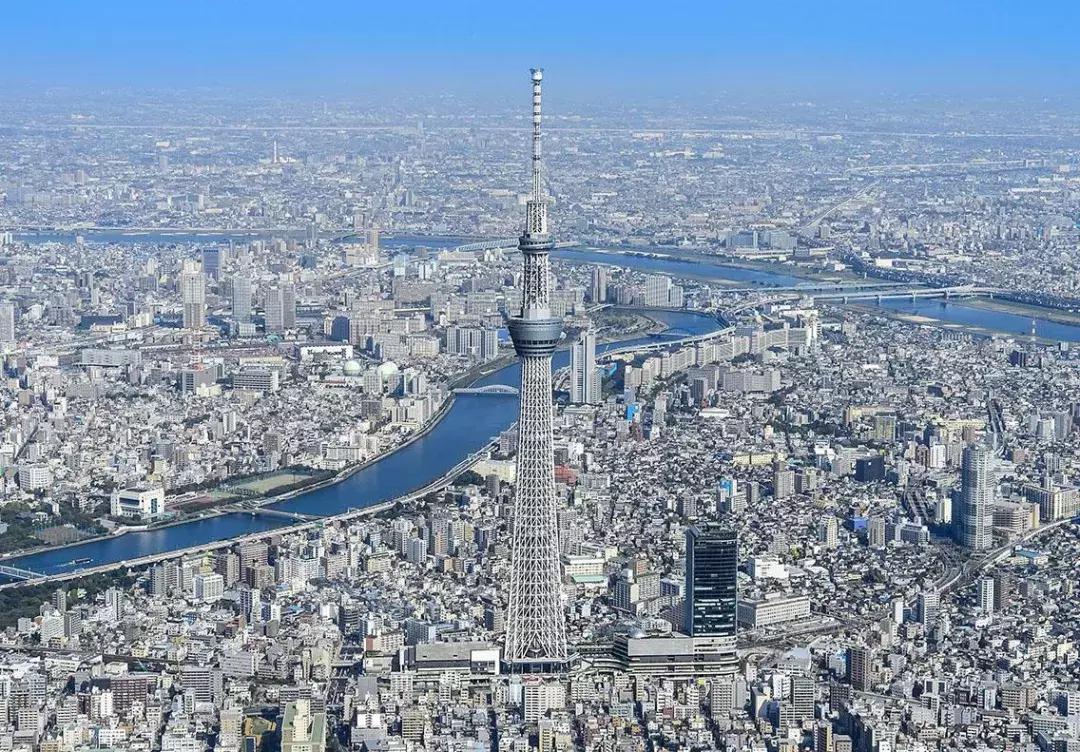 日本花粉症吃什么药,日本人为什么容易得花粉症