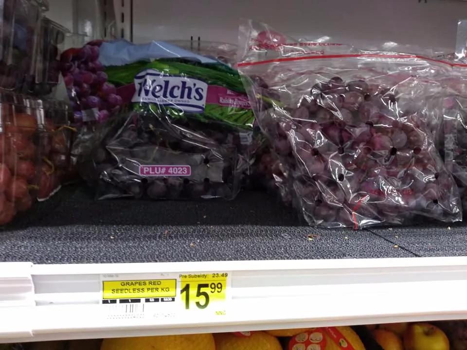 猎杀海豹，吃肉不吃素？！原住民们怒怼动保组织：站着说话不腰疼