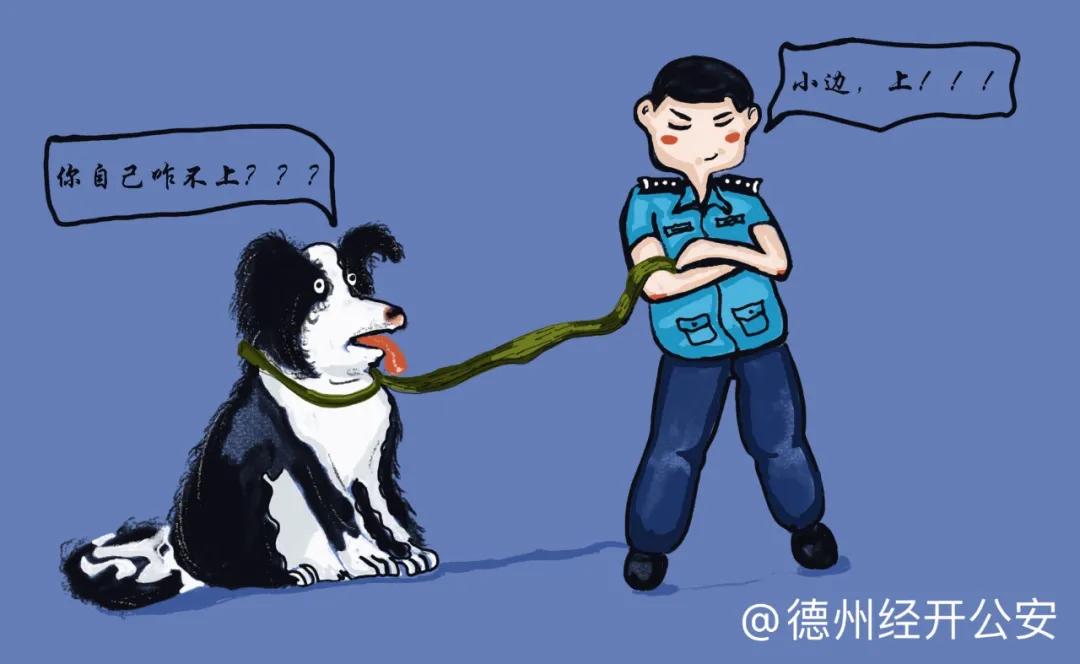 警察各警种漫画,警察漫画各警种