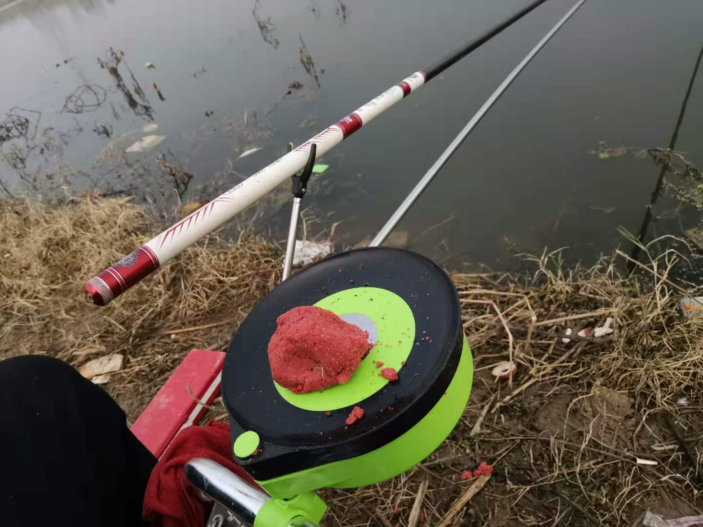 邓刚钓到过几次百斤巨青,邓刚斩获巨青